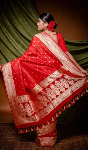 Red Handloom Pure Silk Banarasi Saree with Intricate Zari Work